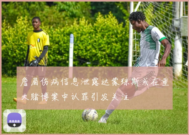 詹眉伤病信息泄露达蒙琼斯或在重大赌博案中认罪引发关注