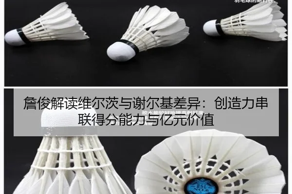 詹俊解读维尔茨与谢尔基差异:创造力串联得分能力与亿元价值